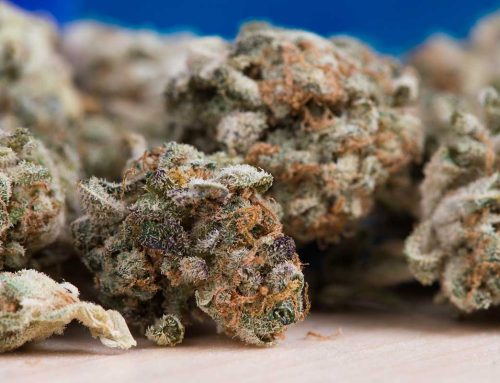 Istina: Sintetički kanabis na ulicama je posledica zabrane, a ne argument protiv legalizacije